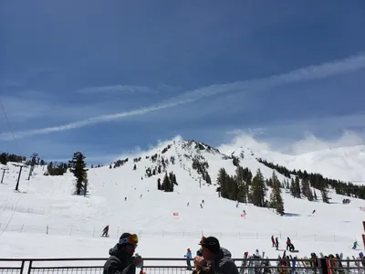 20190517_112225 (Large).jpg